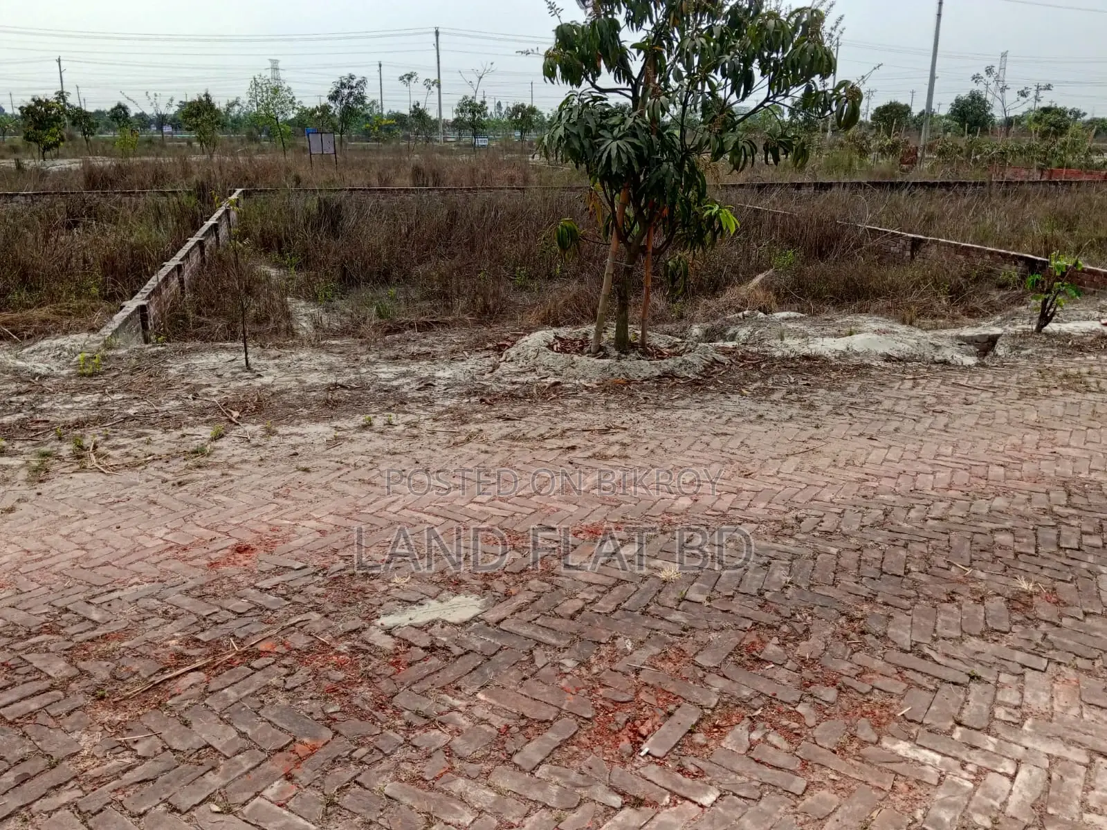 3.58 Katha Plot for Sale @ Ati Model Society