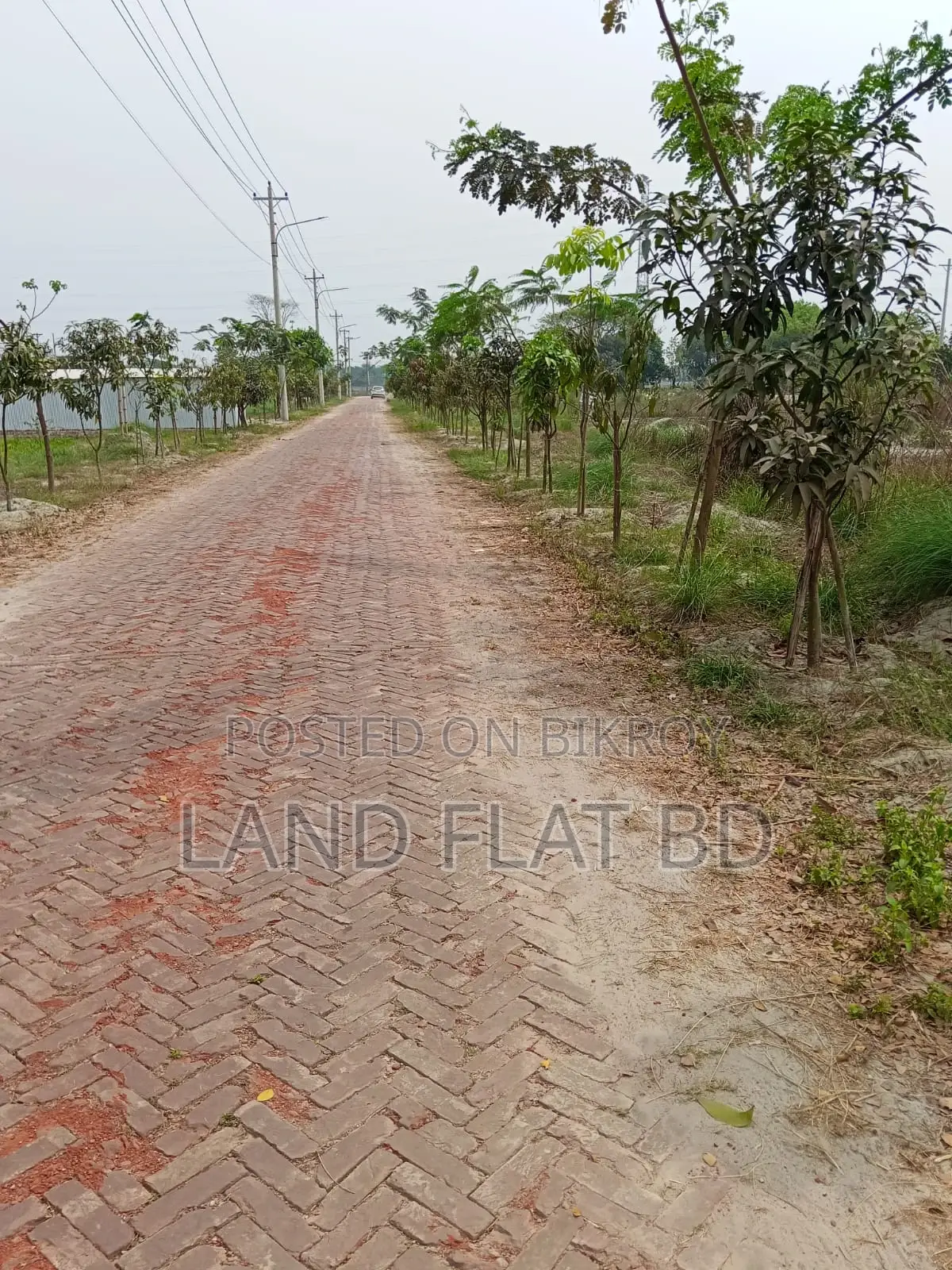 3.58 Katha Plot for Sale @ Ati Model Society