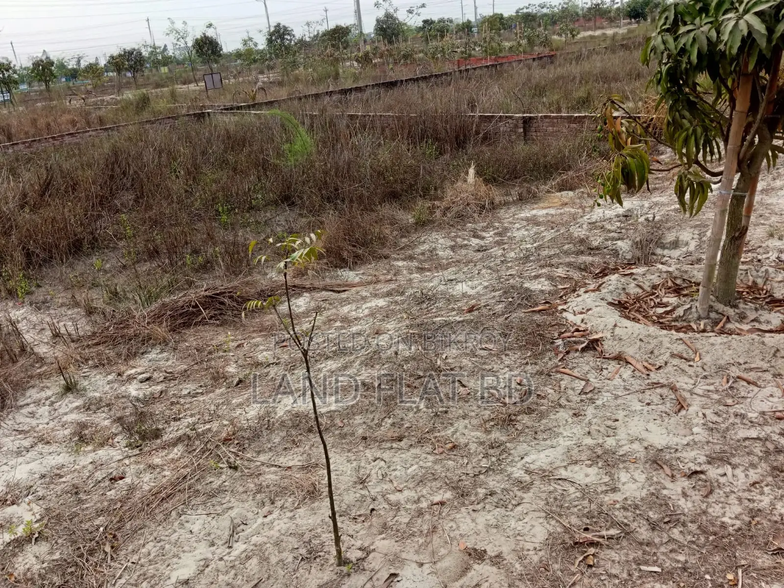 3.58 Katha Plot for Sale @ Ati Model Society
