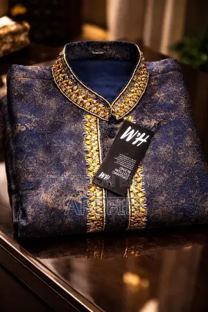 Beautiful Panjabi