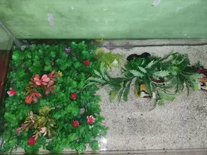 Aquarium