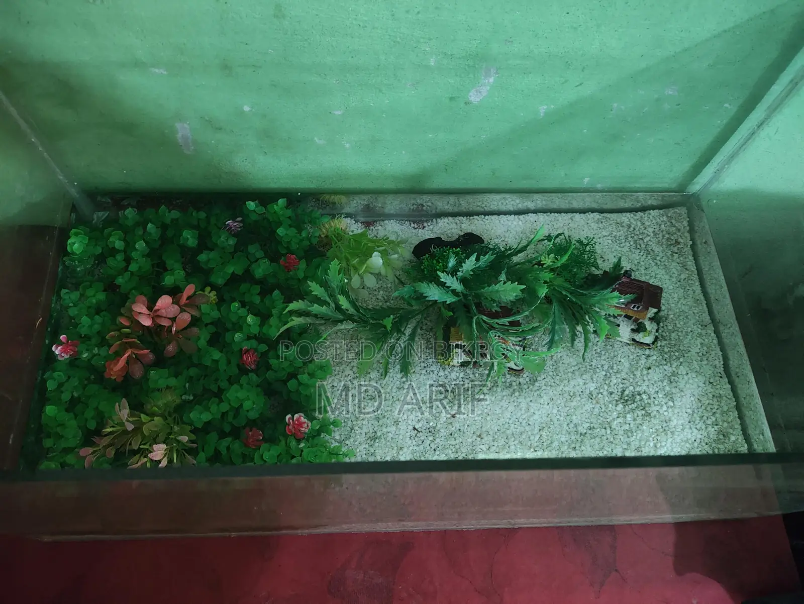 Aquarium