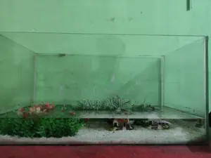 Aquarium