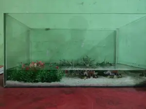 Aquarium