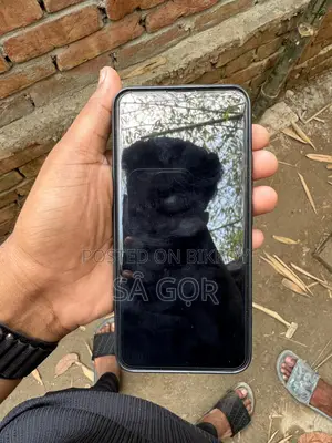Vivo Y19 8/256 (Used)