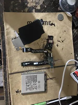 S21+ R Authentic Parts