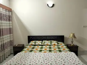 Fully furnish apartment available in banani