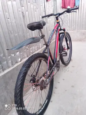 Duranta Bicycle for sale