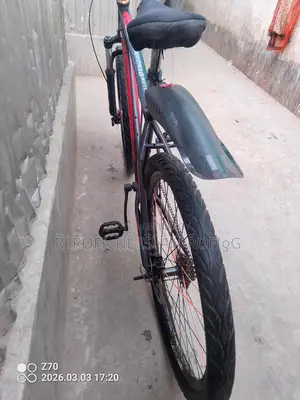 Duranta Bicycle for Sale