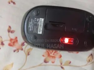 Mouse