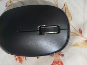 Mouse