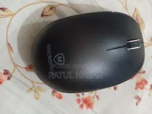Mouse