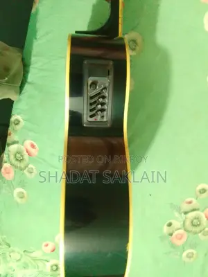 Custom Semi-Electric Guitar