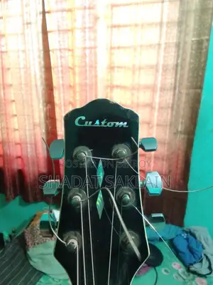 Custom Semi-Electric Guitar