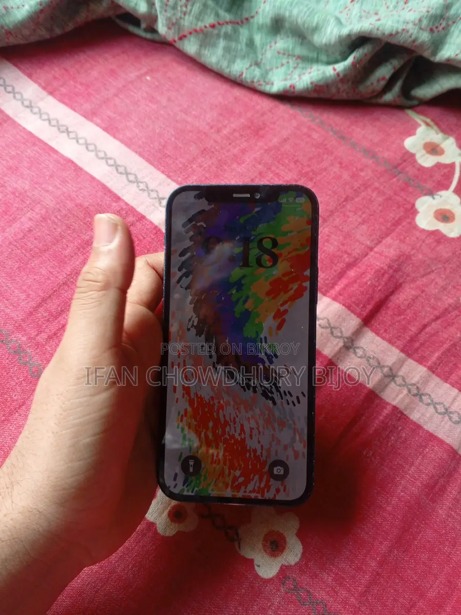 Apple iPhone 12 (Used)