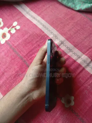 Apple iPhone 12 (Used)