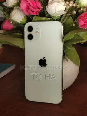 Apple iPhone 12 (Used)