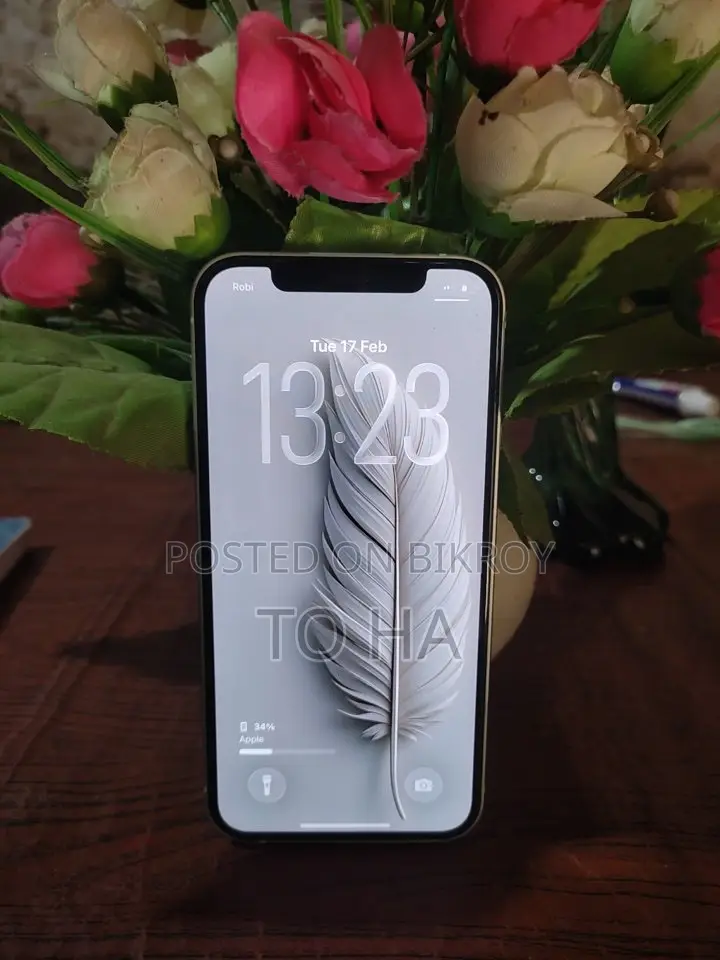 Apple iPhone 12 (Used)