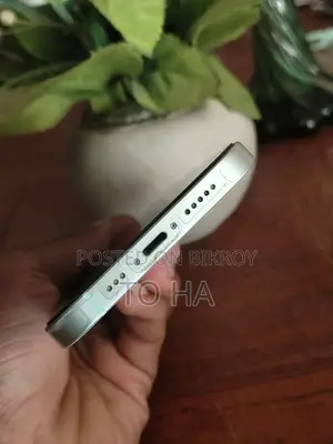 Apple iPhone 12 (Used)