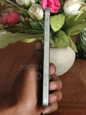 Apple iPhone 12 (Used)