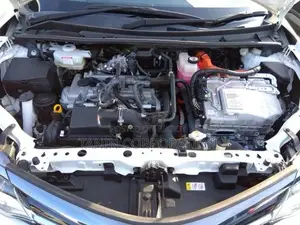 Toyota Fielder Hybrid WXB AP-4 2019