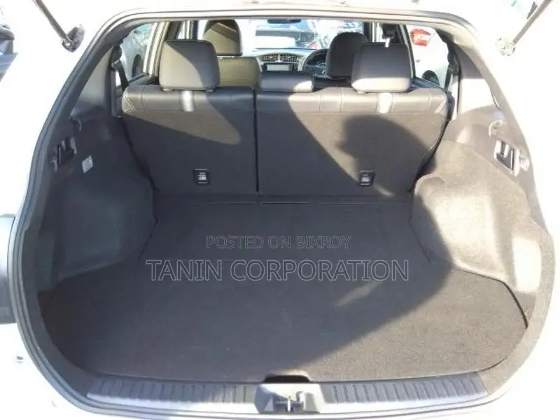 Toyota Fielder Hybrid WXB AP-4 2019