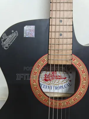 Signature Raghu Bose Enterprise