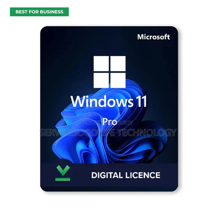Windows 10/11 Pro License Key Lifetime – Original Activation