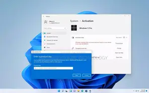 Windows 10/11 Pro License Key Lifetime – Original Activation