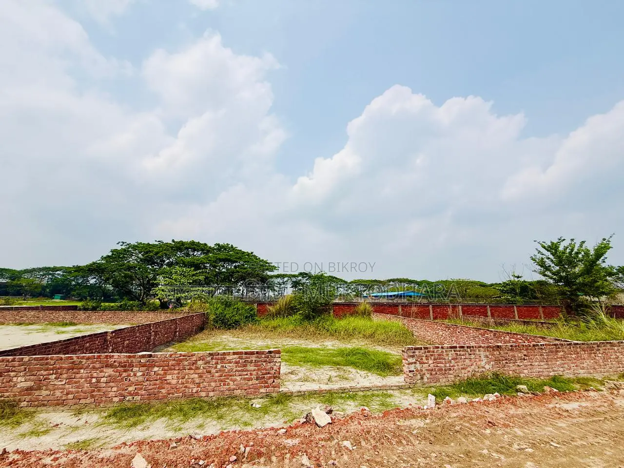 স্বপ্ন নয় বাস্তবে হোক আপনার বিনিয়োগ