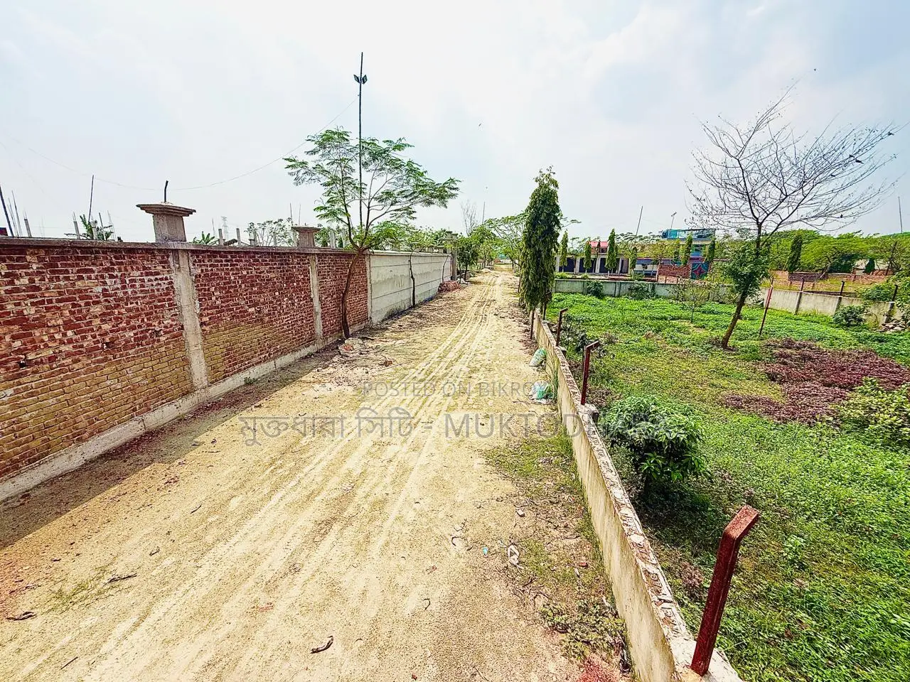 স্বপ্ন নয় বাস্তবে হোক আপনার বিনিয়োগ