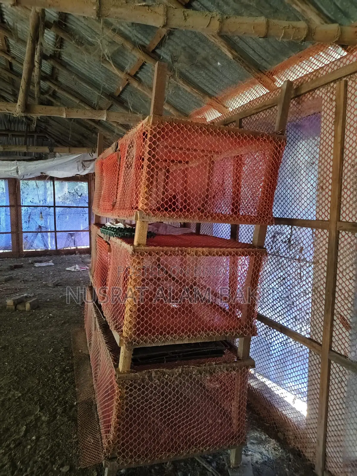 Cages for Pigeons, Quails, and Chickens