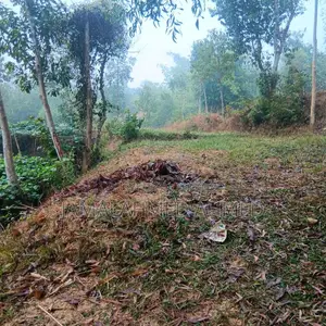 এখানে ১৪ ডিসিমেল জায়গা বিক্রি হবে