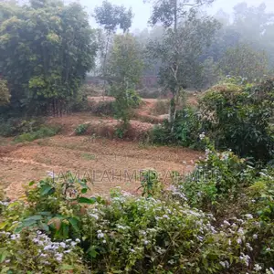 14 Decimal Land for Sale