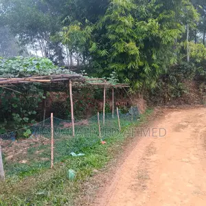 14 Decimal Land for Sale