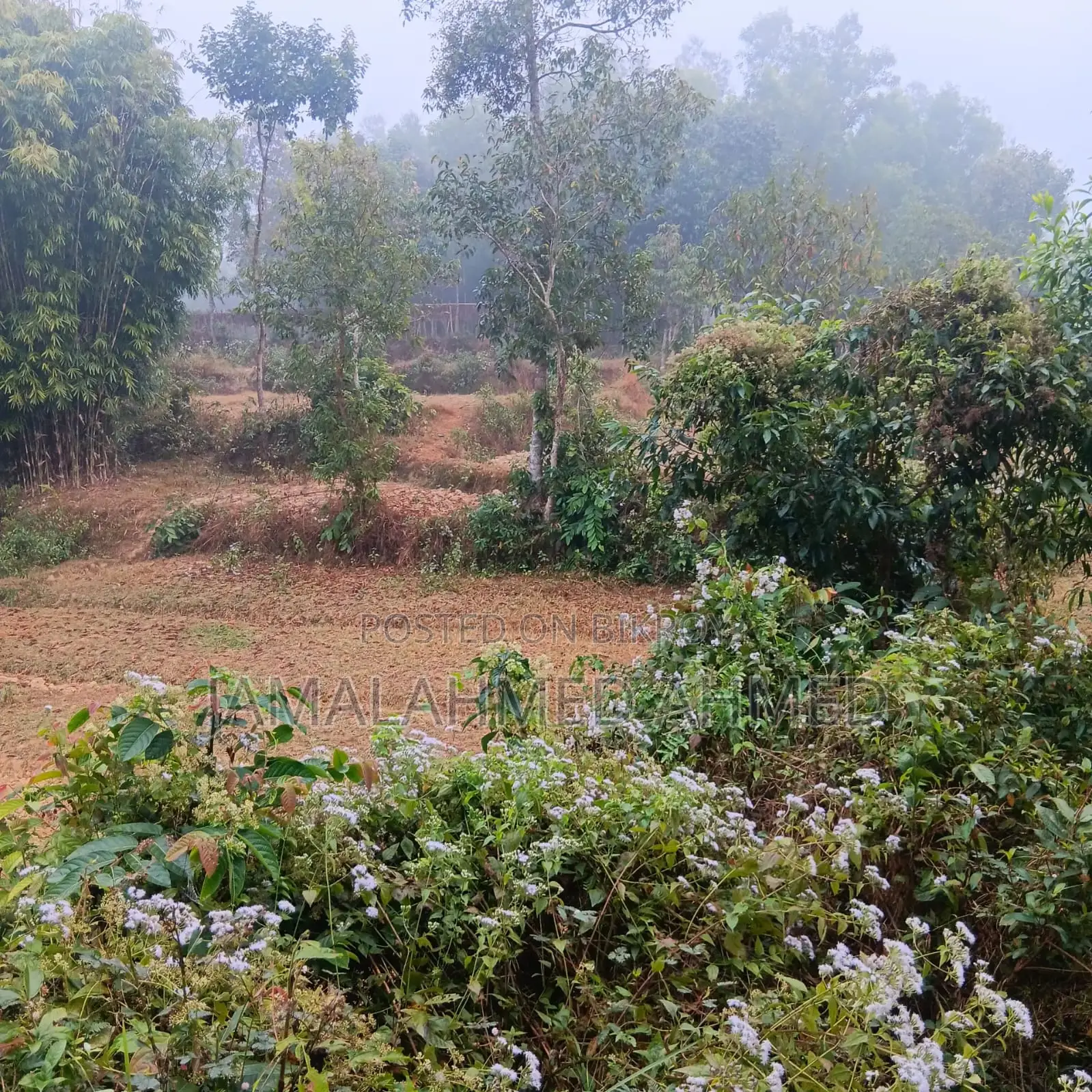 14 Decimal Land for Sale