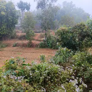 14 Decimal Land for Sale