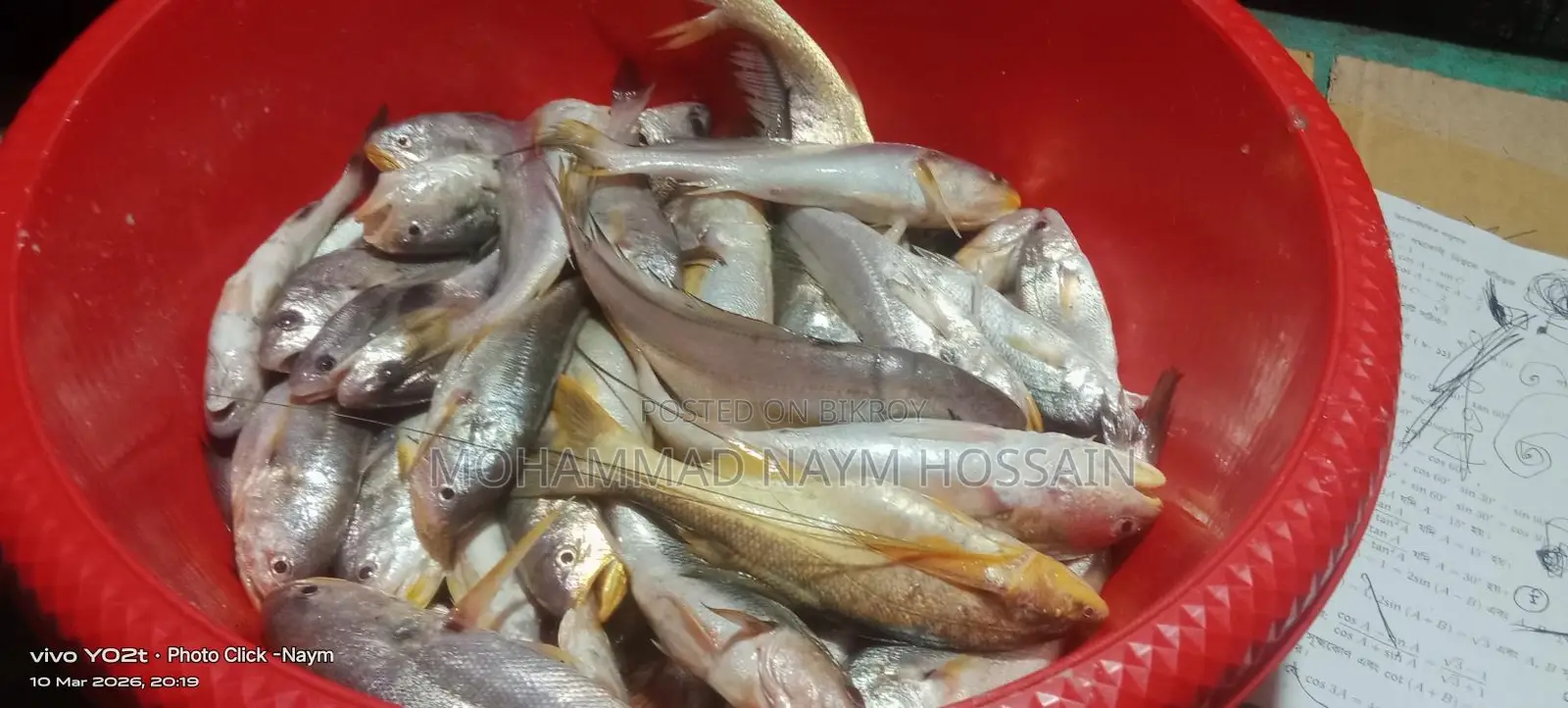 Fresh River Poya Fish