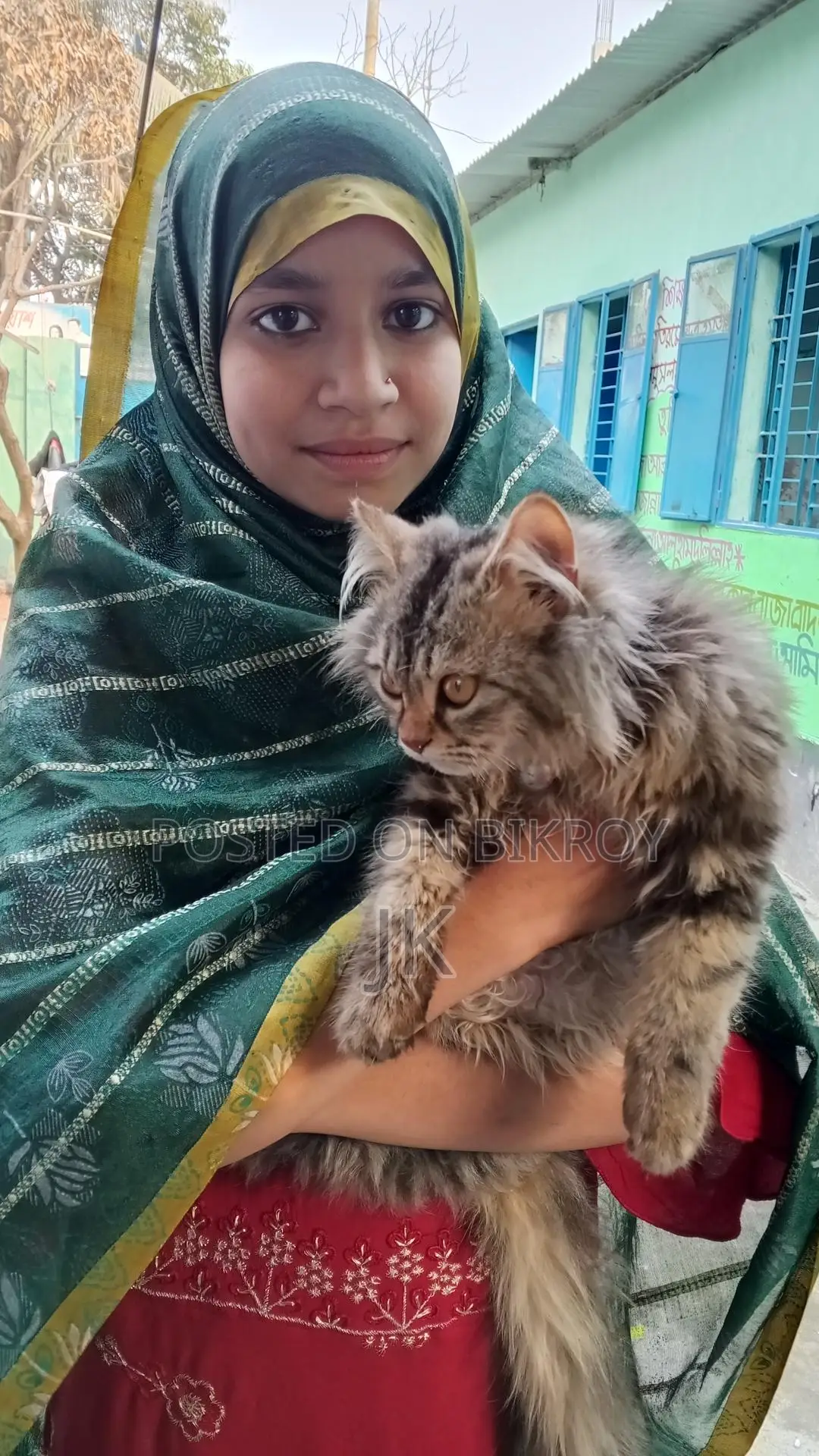 বিড়াল বিক্রি করা হবে