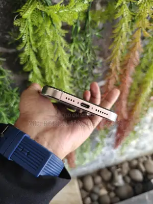 Apple iPhone 15 pro max (Used)