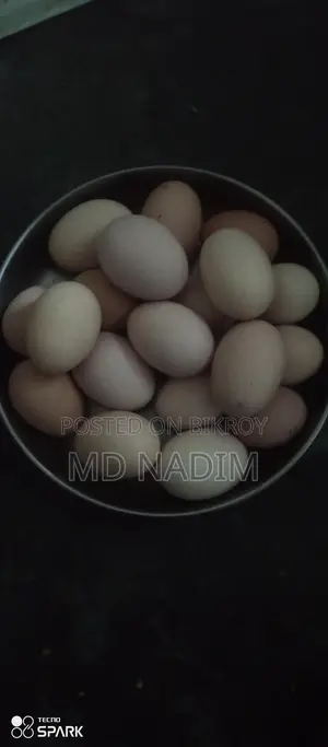 মুরগি