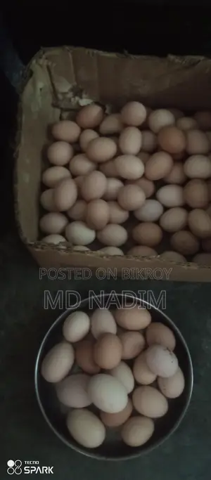 মুরগি