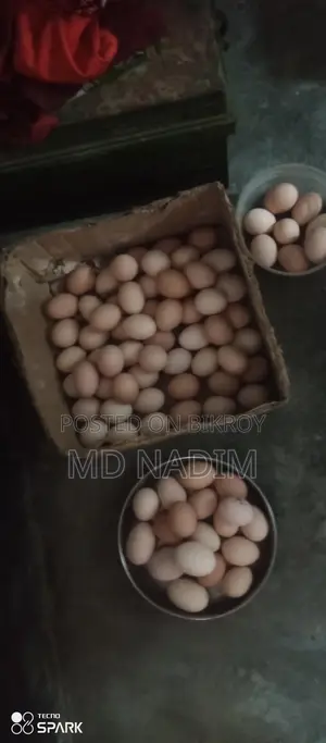 মুরগি