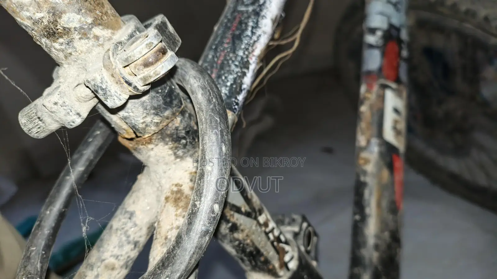 Bicycle for Sale