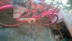 Girls' Bicycle
