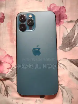 Apple iPhone 12 Pro Max 128 GB (Used)