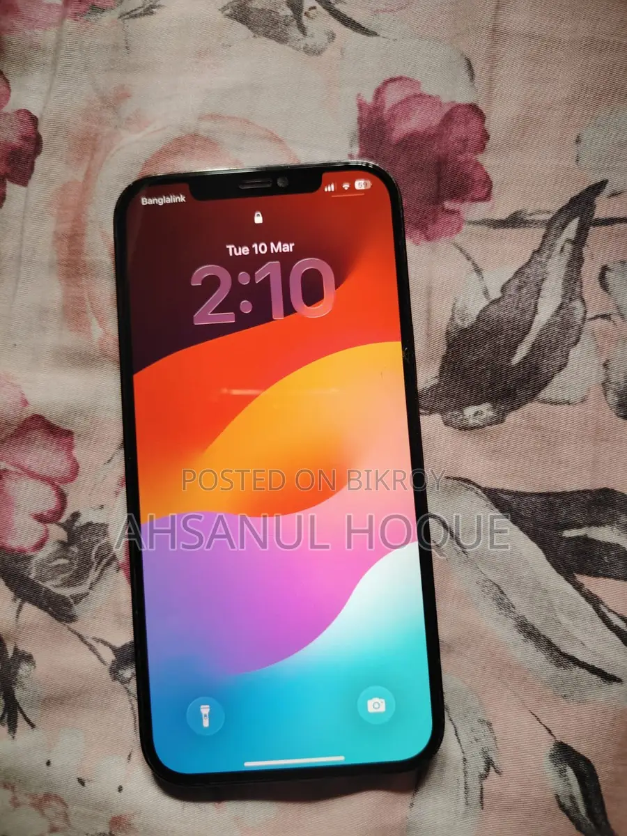 Apple iPhone 12 Pro Max 128 GB (Used)