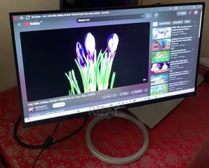 21.45 Inch Walton Cine D Monitor