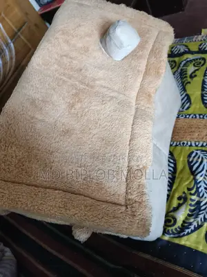 Cat House