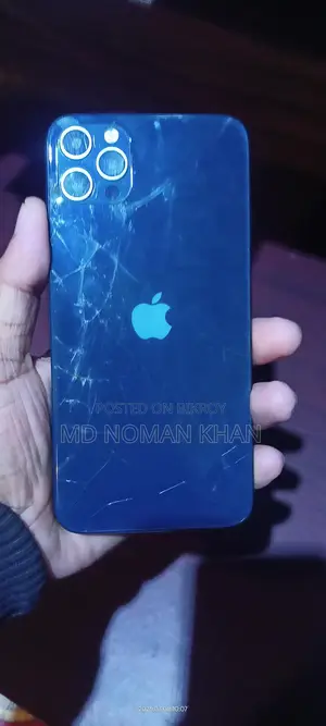 Apple iPhone 13 Pro Max Copy (Used)